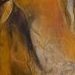 Acryl